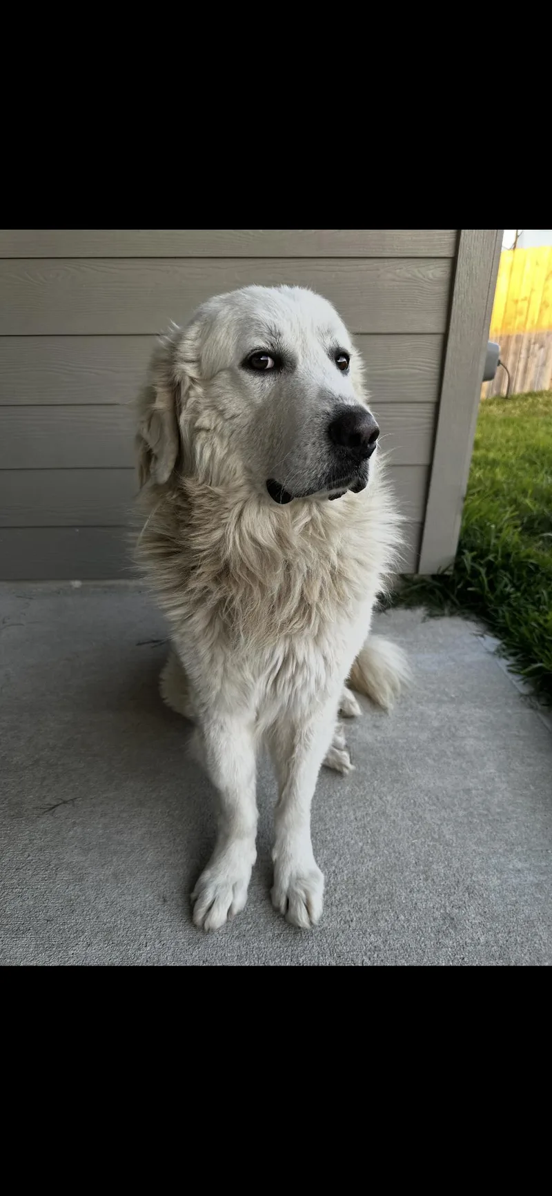 Chief Htx thumbnail 2