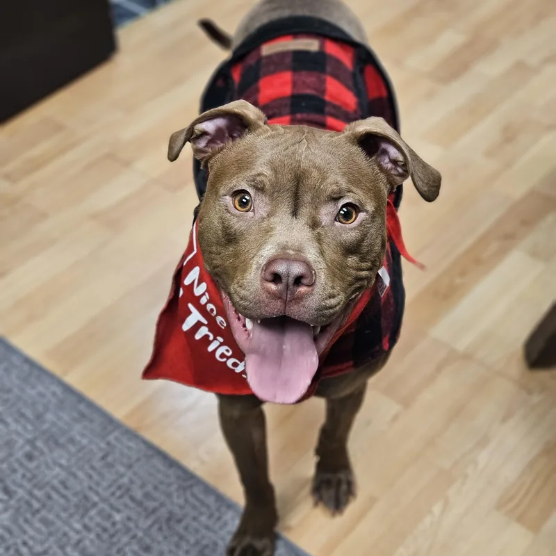 Mike   $ thumbnail 2