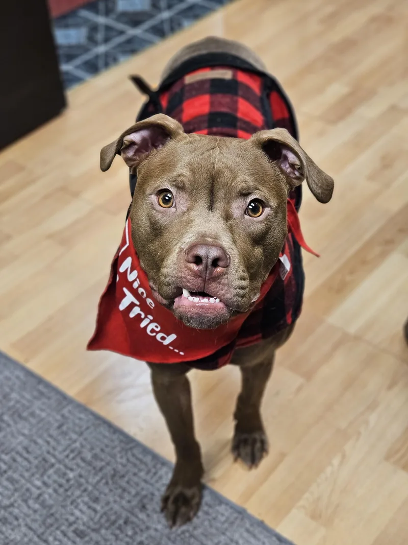 Mike   $ thumbnail 3