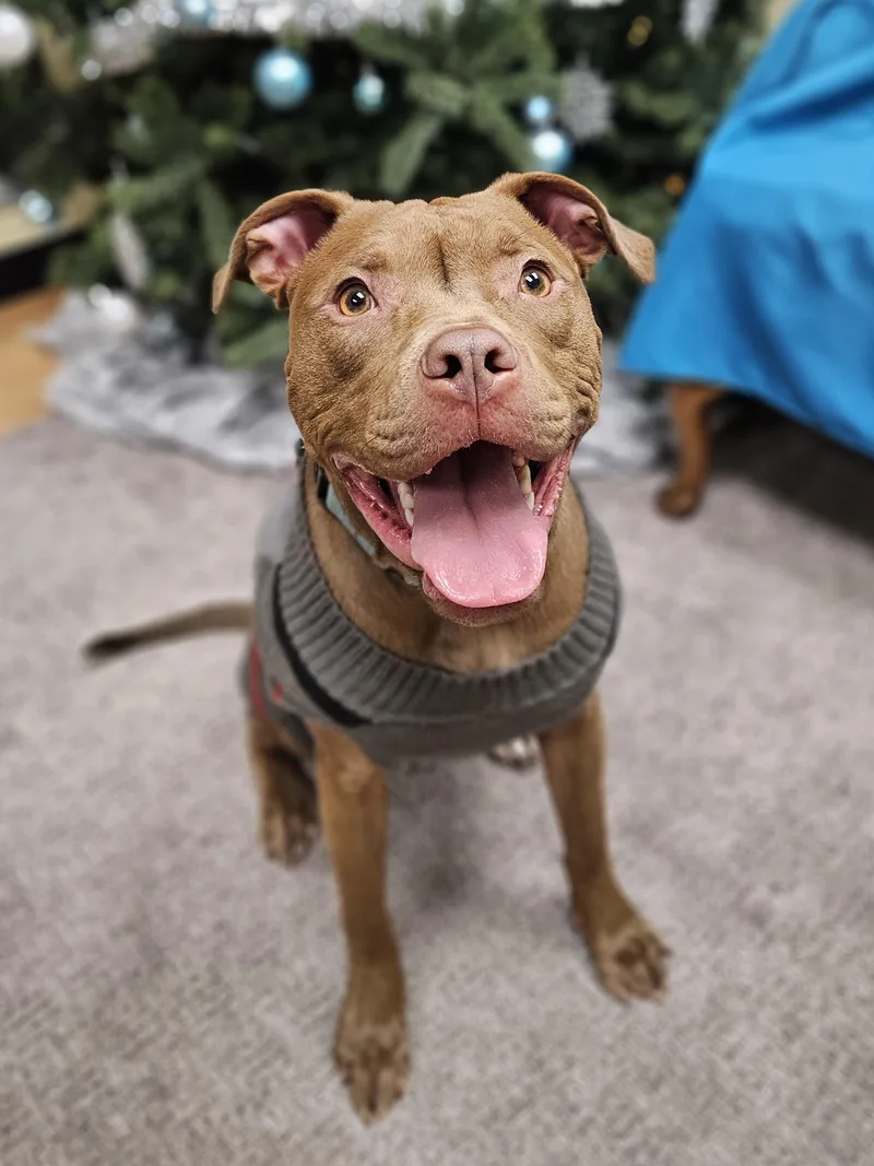 Mike   $ thumbnail 4