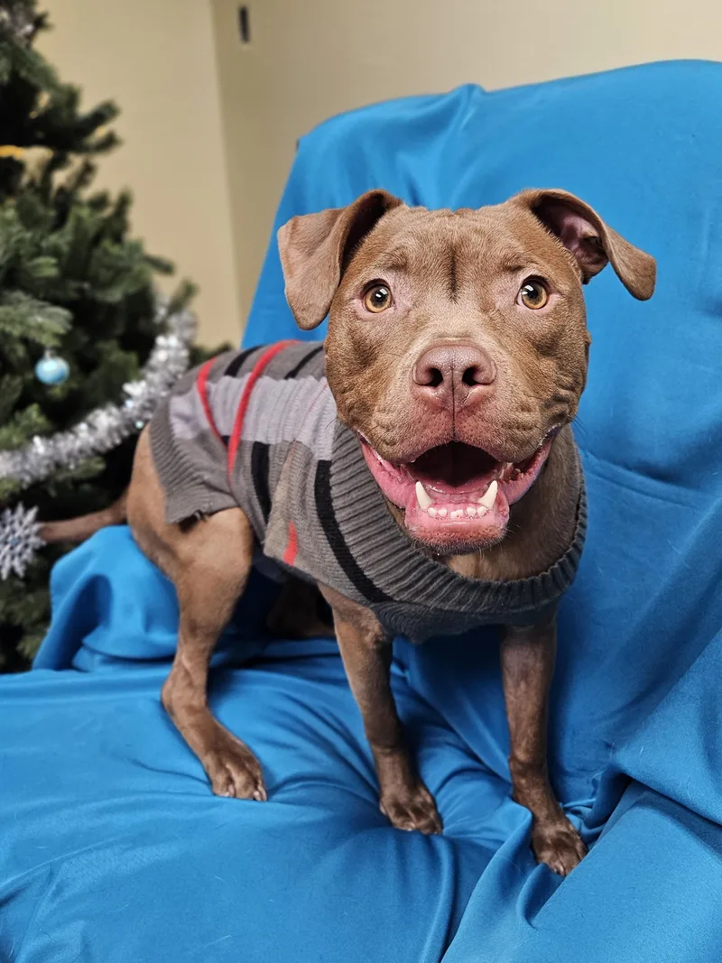 Mike   $ thumbnail 5