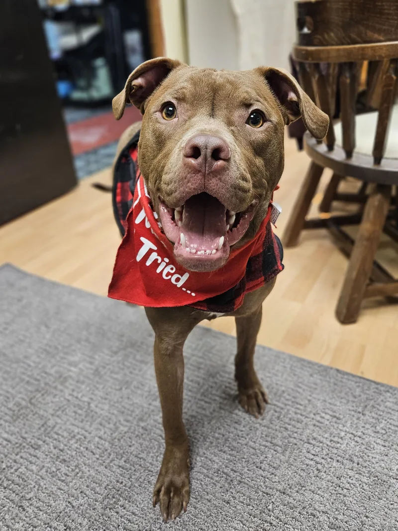 Mike   $ thumbnail 6