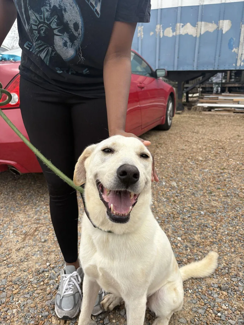 Juan Valdez thumbnail 2