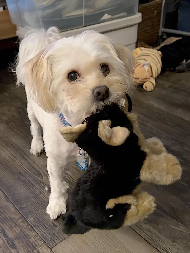 Winnie thumbnail 4