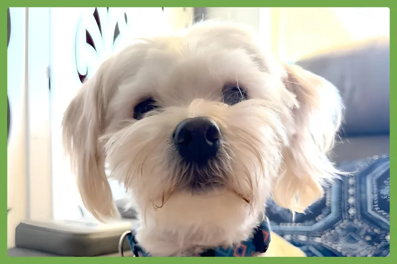 Winnie thumbnail 5