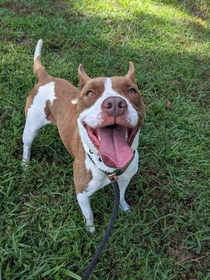 Matilda