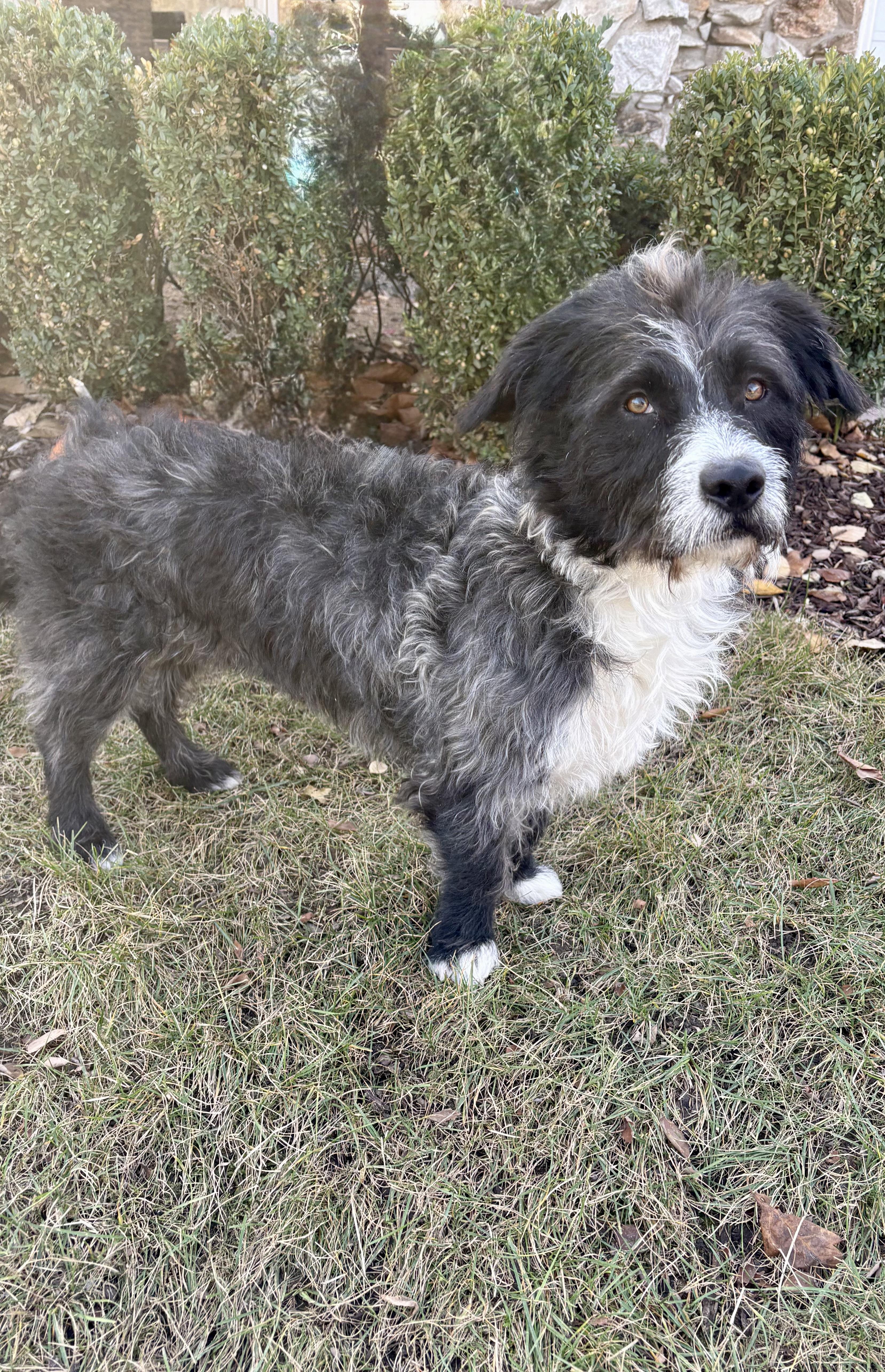 Boo & Sulley thumbnail 2