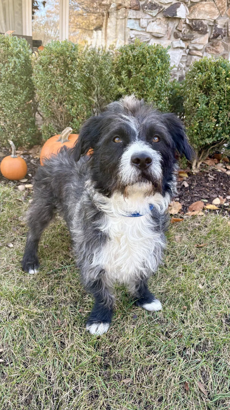 Boo & Sulley thumbnail 5