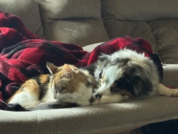 Dutchess thumbnail 4