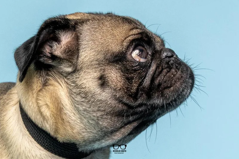 Frank