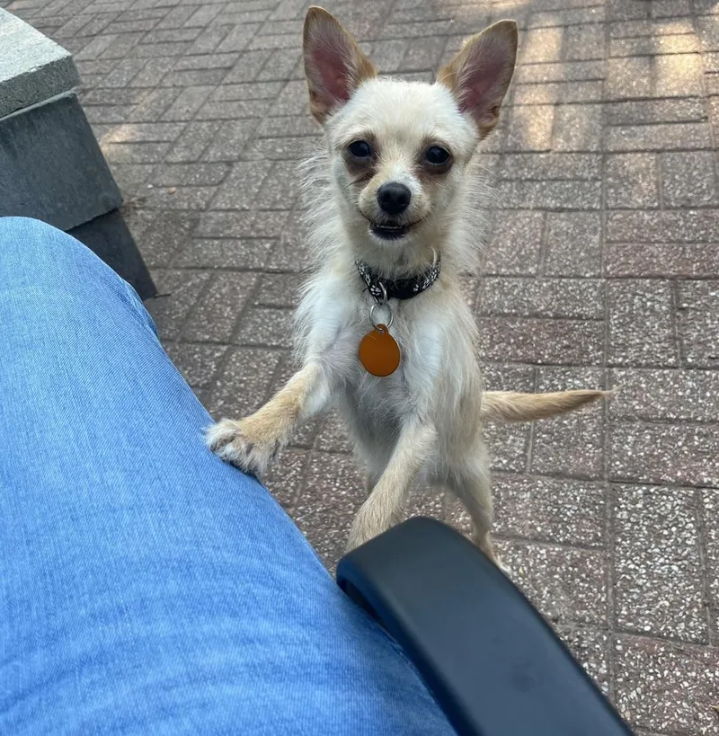 Freya