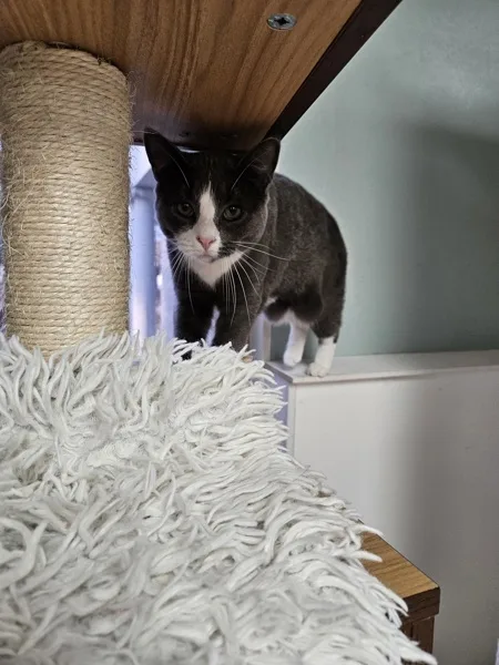 Chloe thumbnail 4
