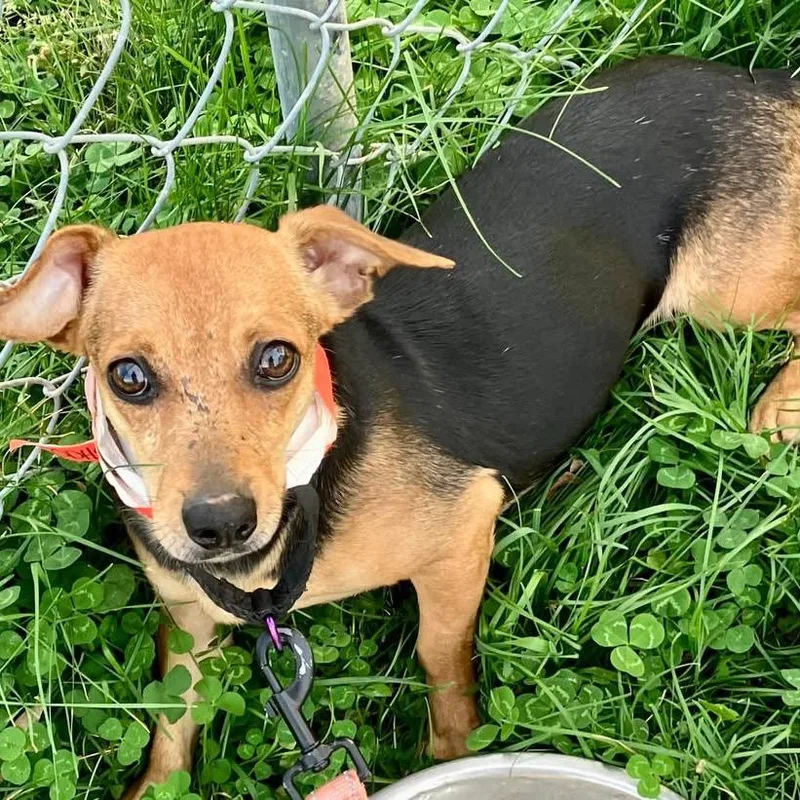 Vancouver thumbnail 4