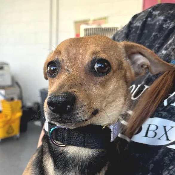 Vancouver thumbnail 6