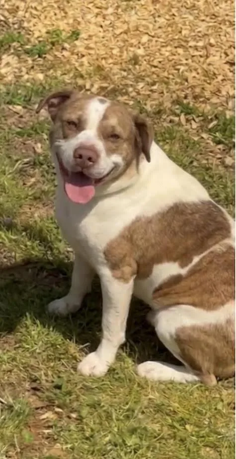 Luna Bella thumbnail 2