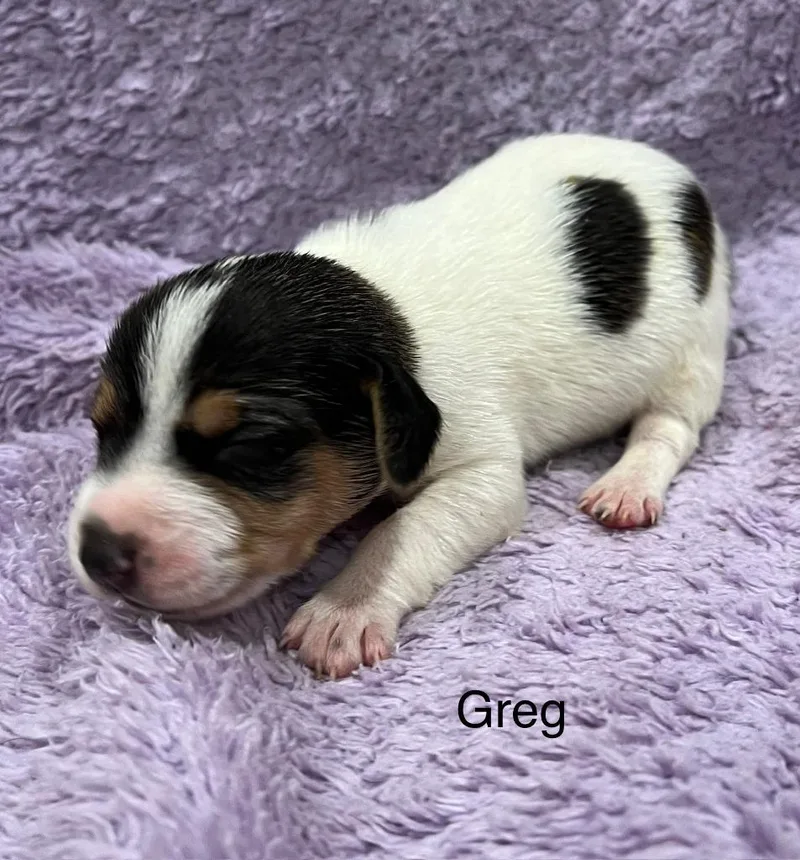 Greg thumbnail 2