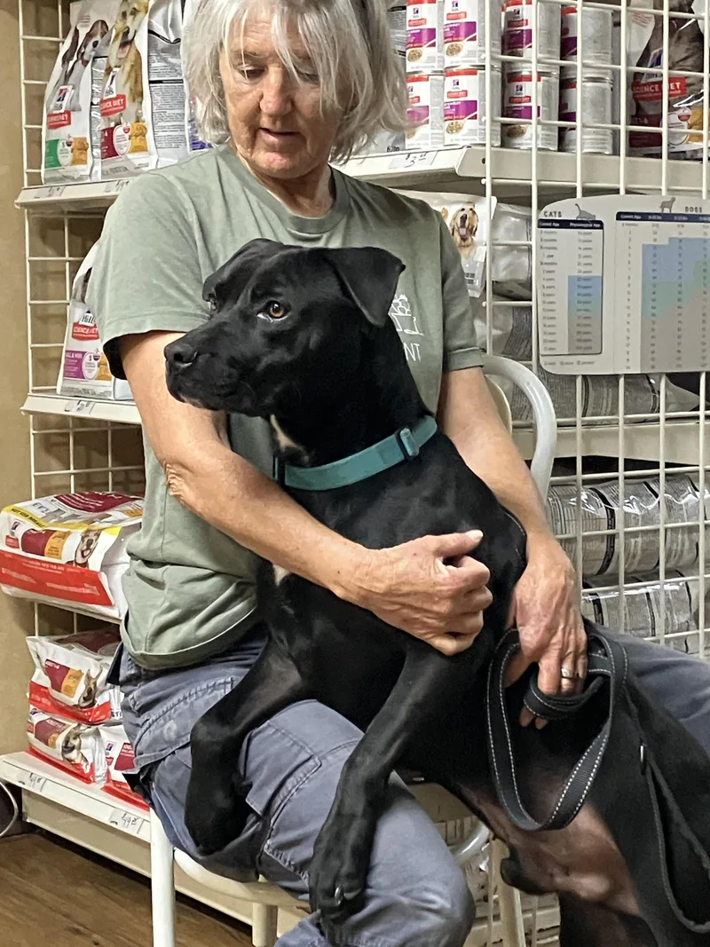 Colelively And Loveable thumbnail 3