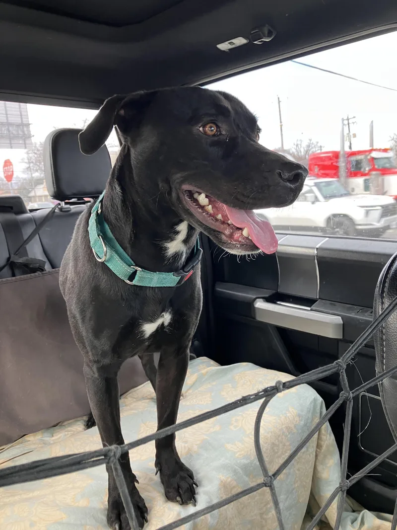 Colelively And Loveable thumbnail 5