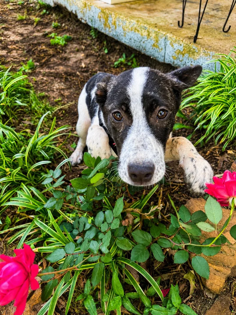 Janet Jackson