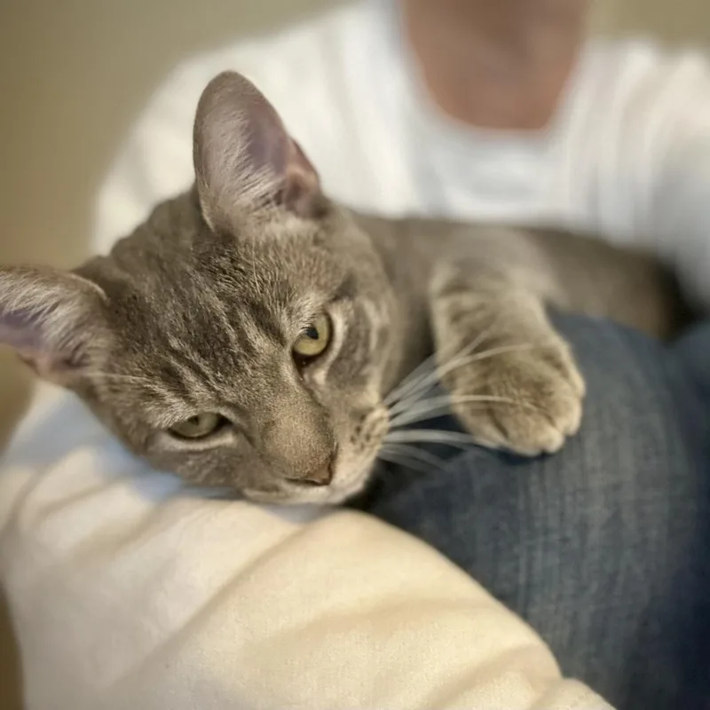 Benjamin Bunny thumbnail 2