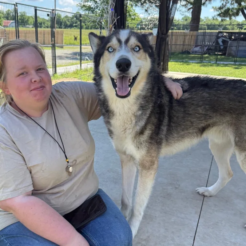 Garfunkel thumbnail 5