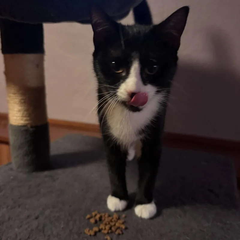Charlie thumbnail 3