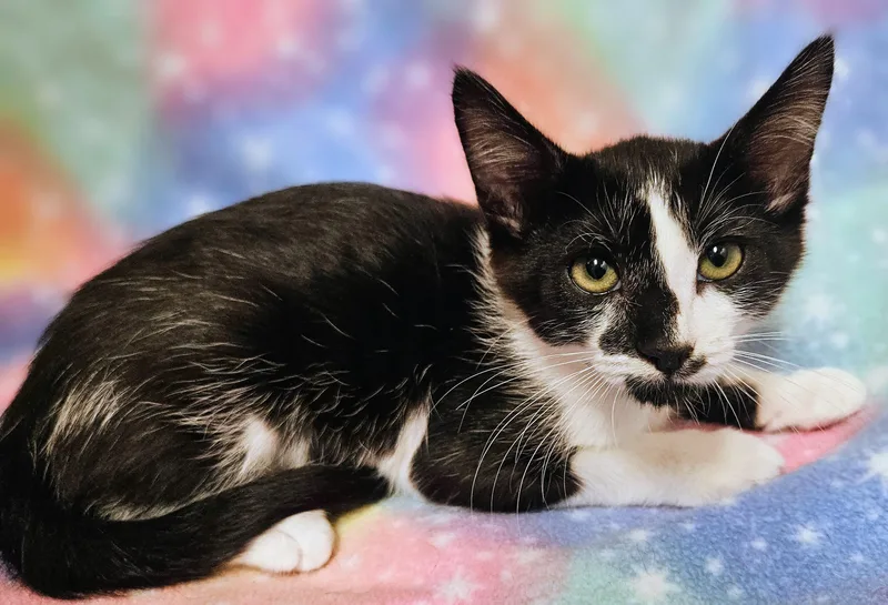 Spirit  Rancho Cucamonga thumbnail 2