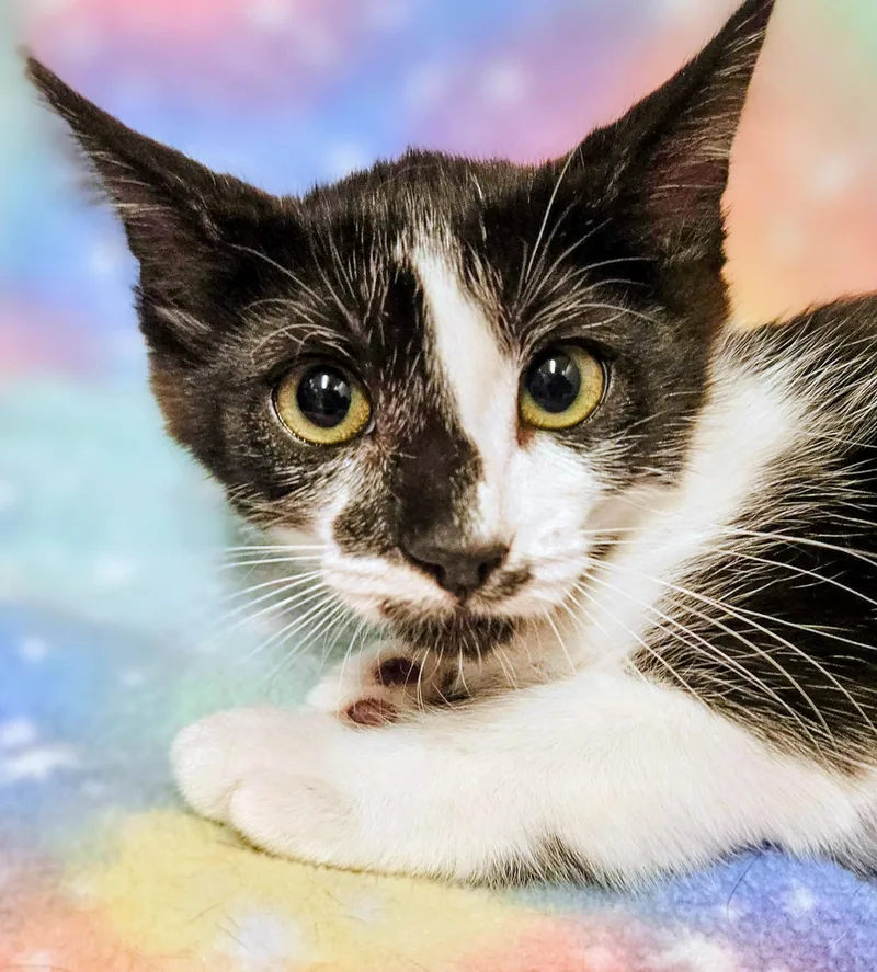 Spirit Rancho Cucamonga