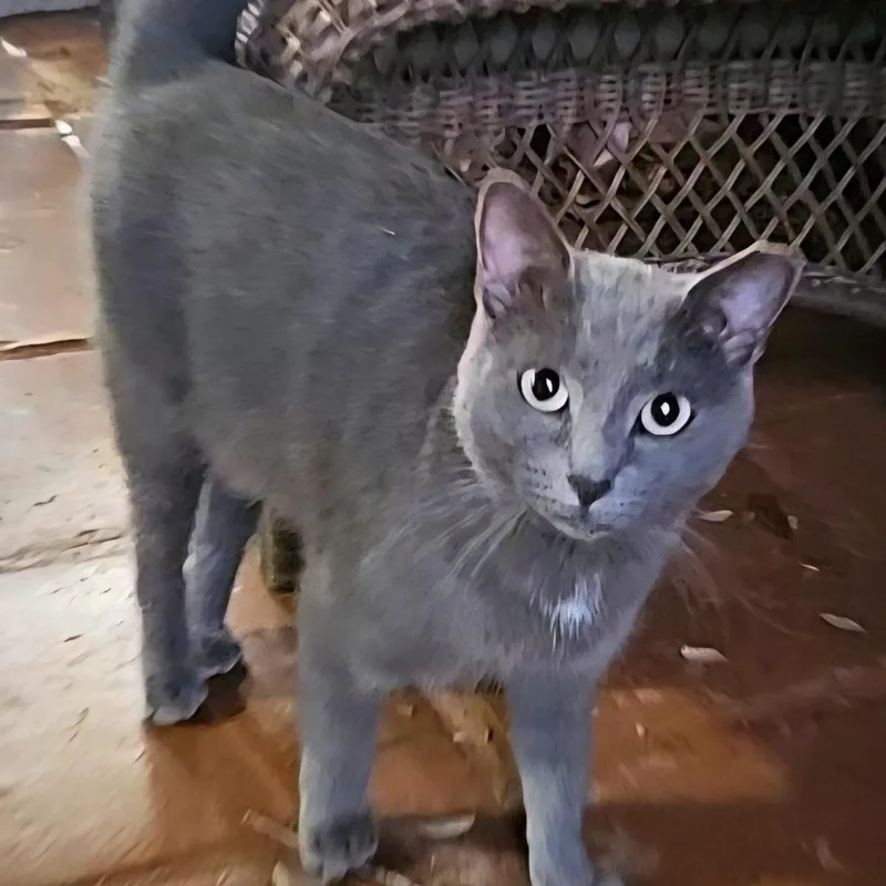 Meet Barry – The thumbnail 2