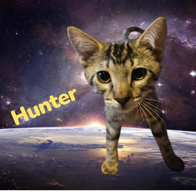 Hunter