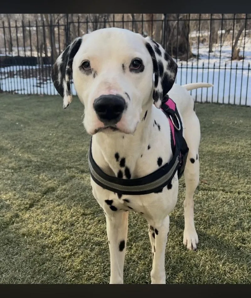 Two Tone thumbnail 2