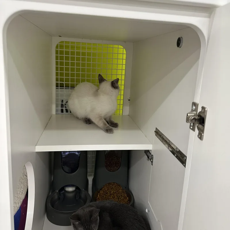 Biscuits & Gravy thumbnail 5