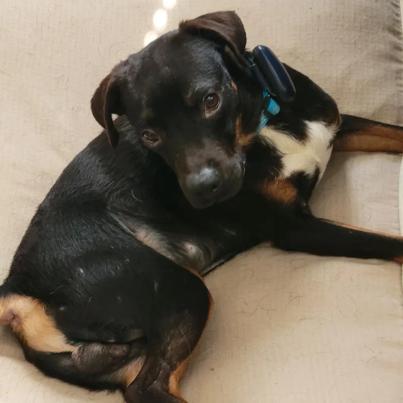 Edgar