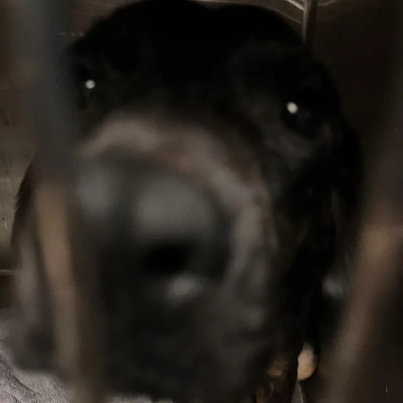 Edgar thumbnail 3