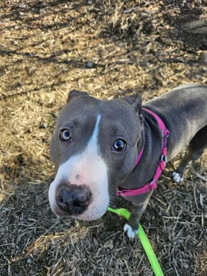 Gabby Ray thumbnail 2