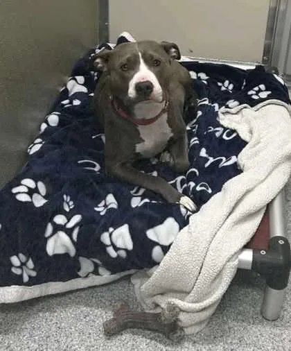 Gabby Ray thumbnail 3