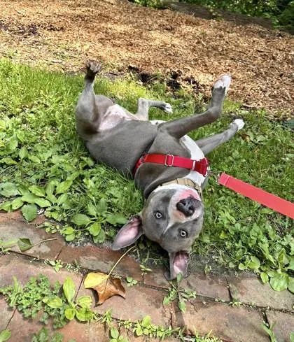 Gabby Ray thumbnail 4