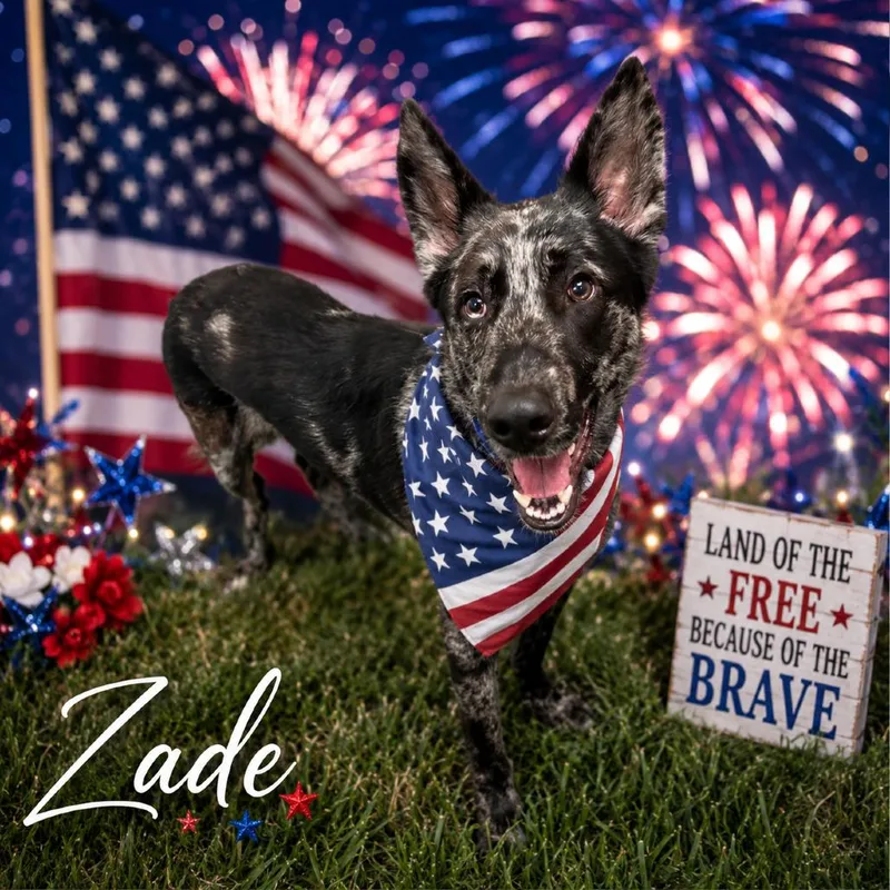 Zade