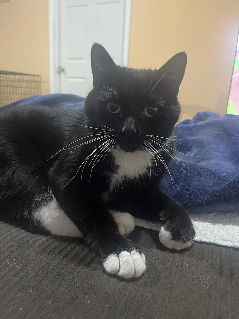 Randy Wilton thumbnail 2