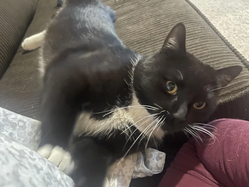 Randy Wilton thumbnail 3