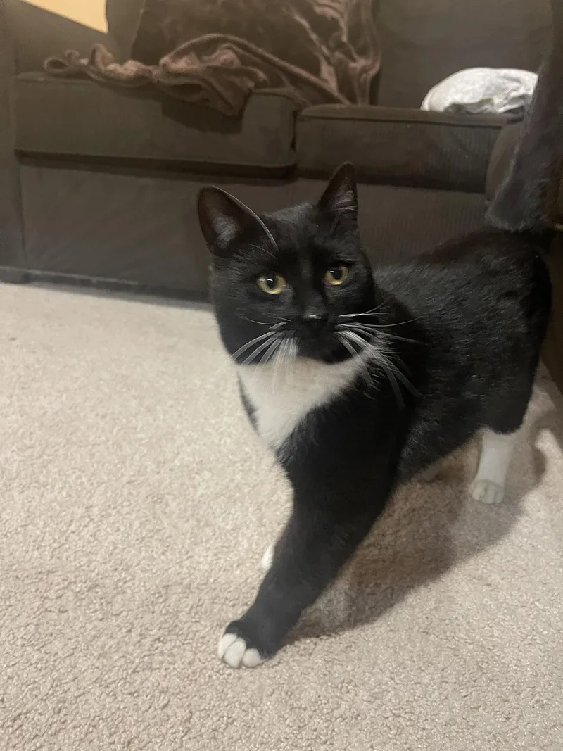 Randy Wilton thumbnail 4