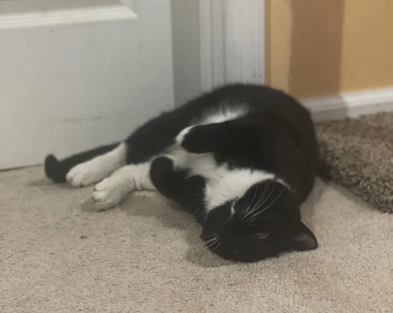 Randy Wilton thumbnail 5