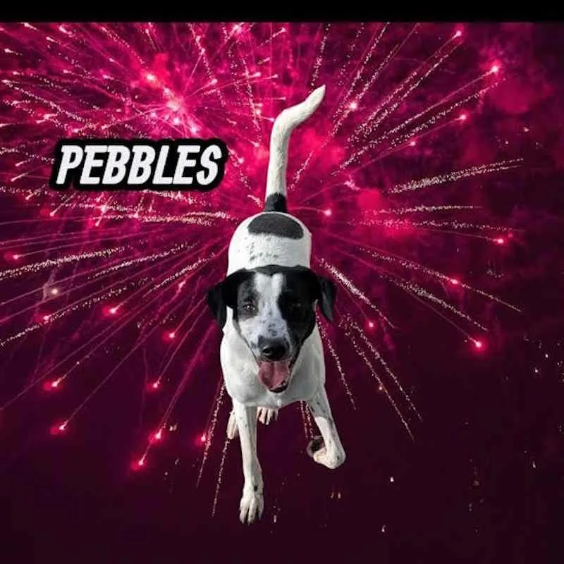 Pebbles