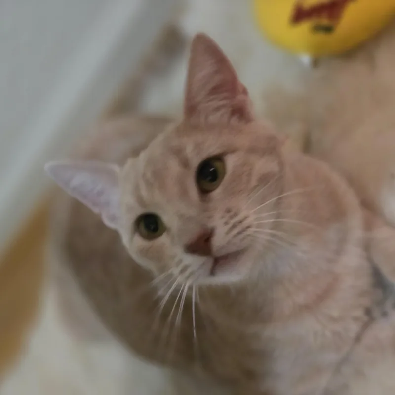 Mama Josie & Jace thumbnail 2