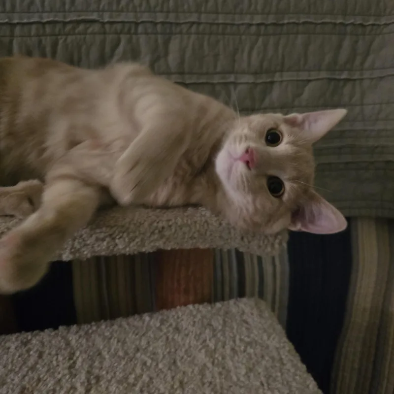 Mama Josie & Jace thumbnail 3