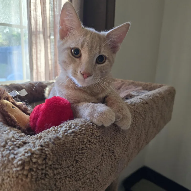 Mama Josie & Jace thumbnail 4