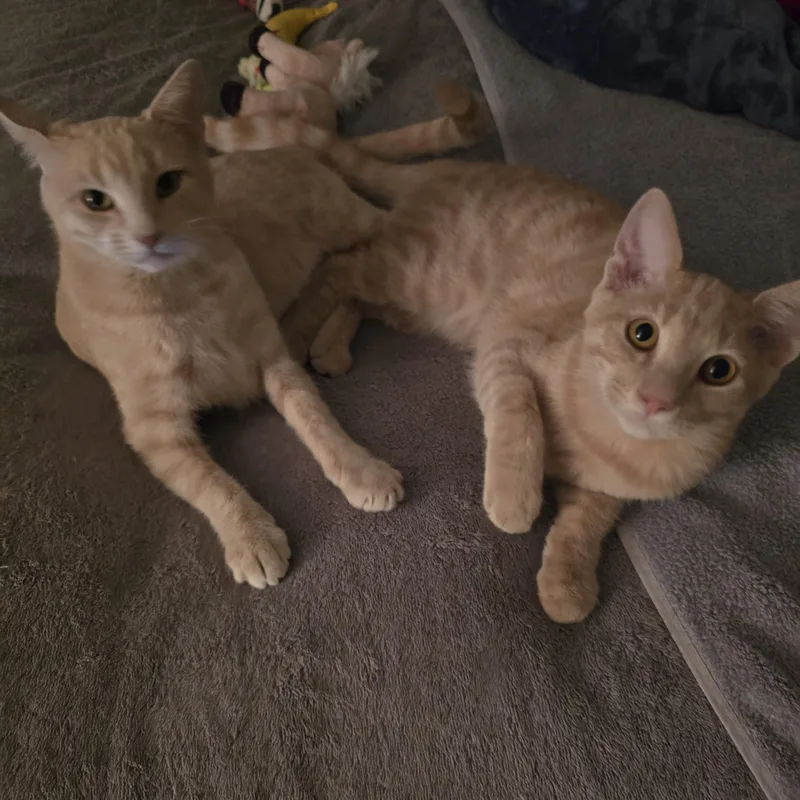 Mama Josie & Jace thumbnail 5