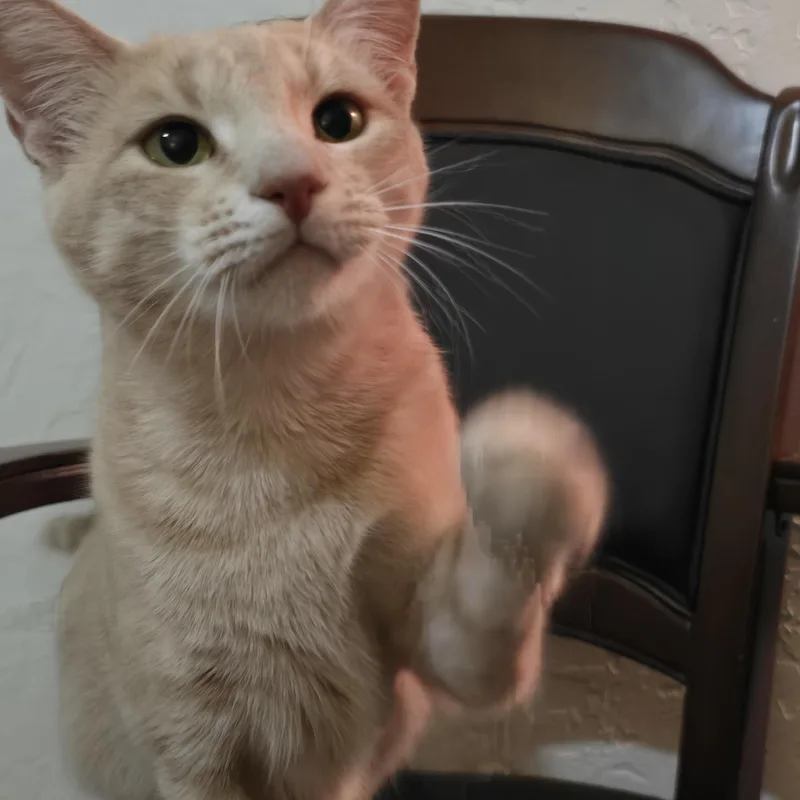 Mama Josie & Jace thumbnail 6