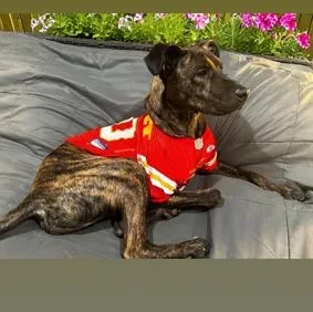 Rocky Road thumbnail 3