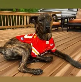 Rocky Road thumbnail 4